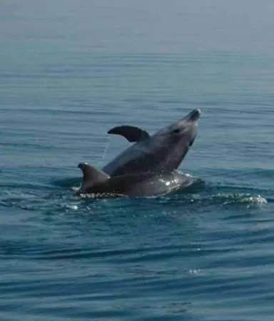 Il Tuo Sogno Al Mare *